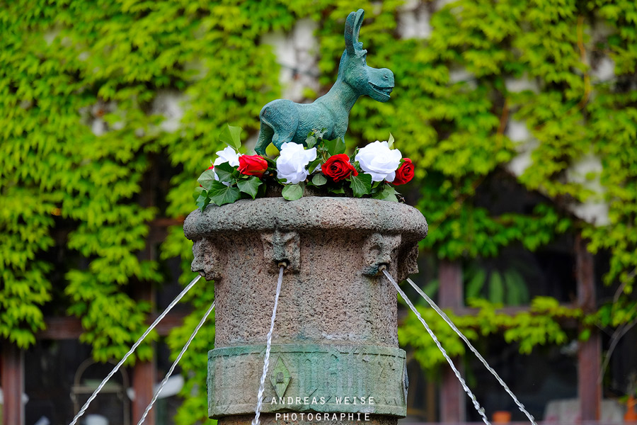 andreas,weise,fotograf,halle,esel,eselsbrunnen,foto,bild