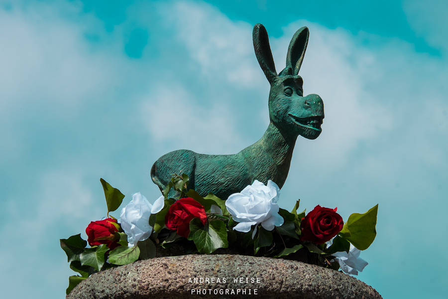 andreas,weise,fotograf,halle,esel,eselsbrunnen,foto,bild