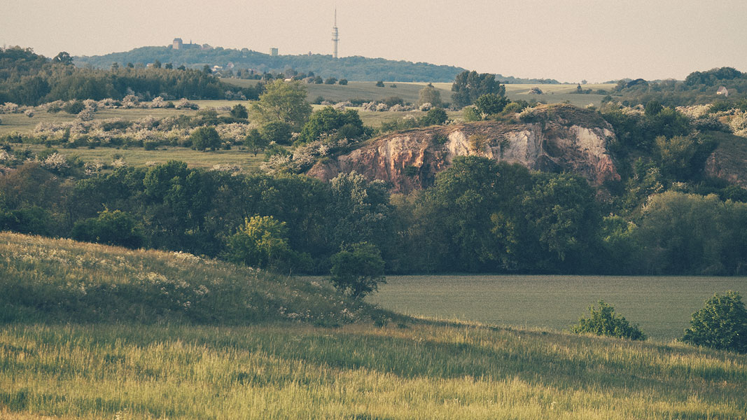 Blick über das Saaletal Richtung Petersberg