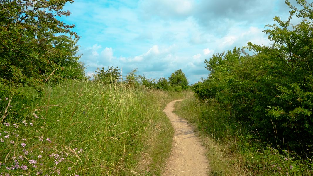 Westufer , im Bereich des zukünftigen Golfplatzes