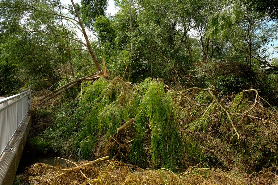 Sturmschäden an der Götsche