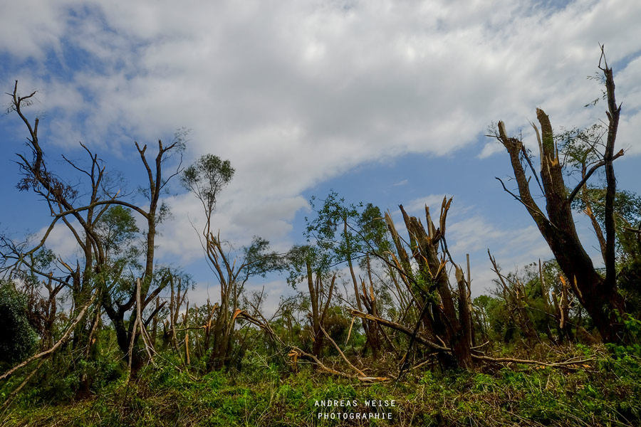 Sturmschäden an der Götsche