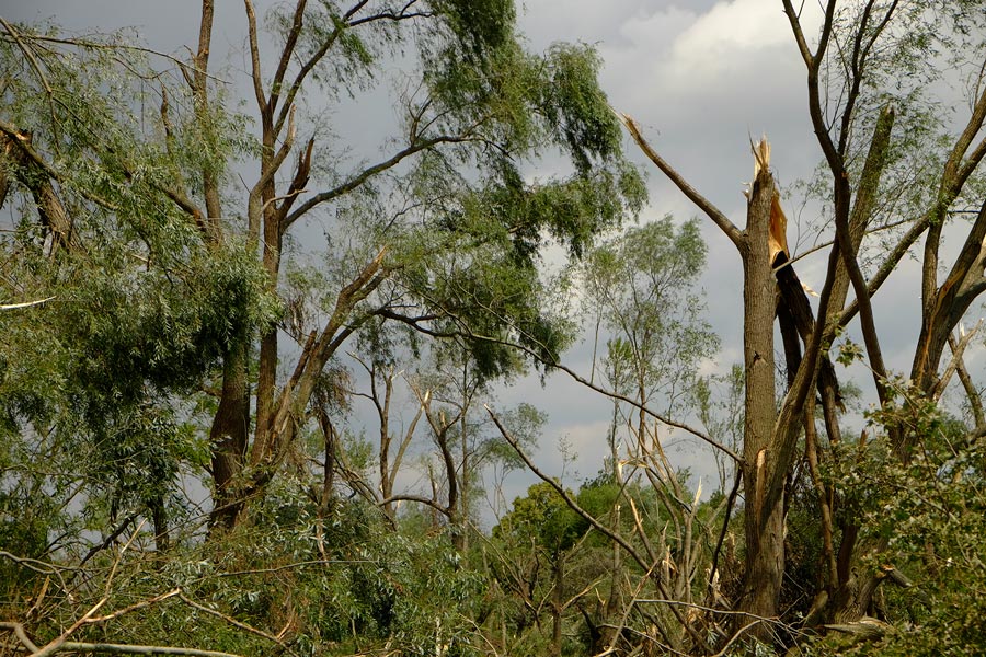 Sturmschäden an der Götsche