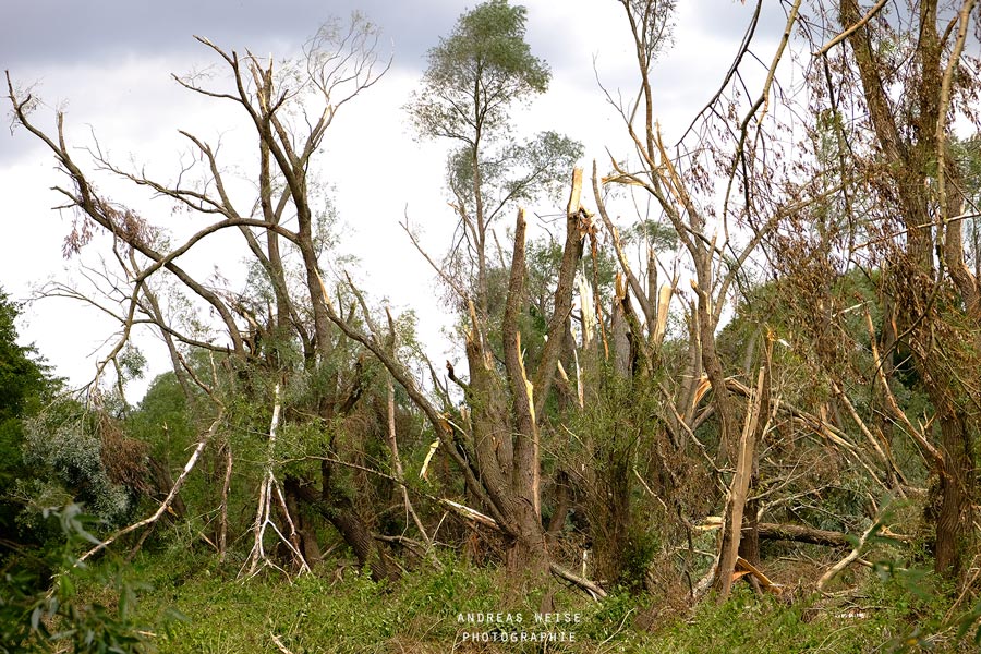 Sturmschäden an der Götsche