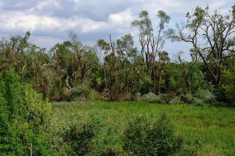 Sturmschäden an der Götsche