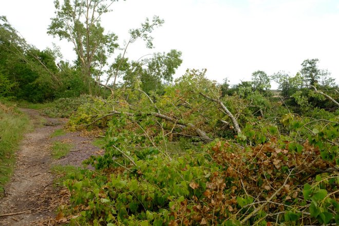 Sturmschaden an der Saale