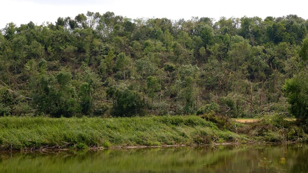 Blick über die Saale auf den völlig zerstörten Wald bei Neuragoczy