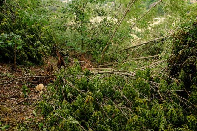 ...und im Rücken die völlige Zerstörung