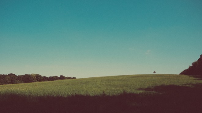 oberhalb vom Kloster Ilsenburg